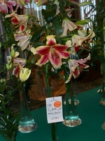 Foto: Dr. Jörg M. Giffei